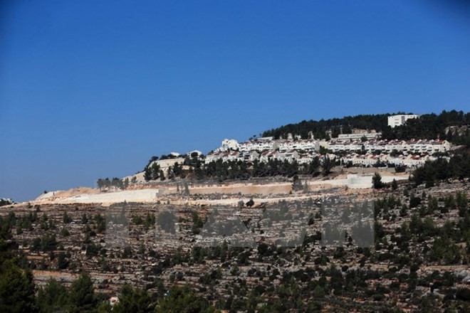 Israel revives plans to build 500 new homes in Jerusalem - ảnh 1